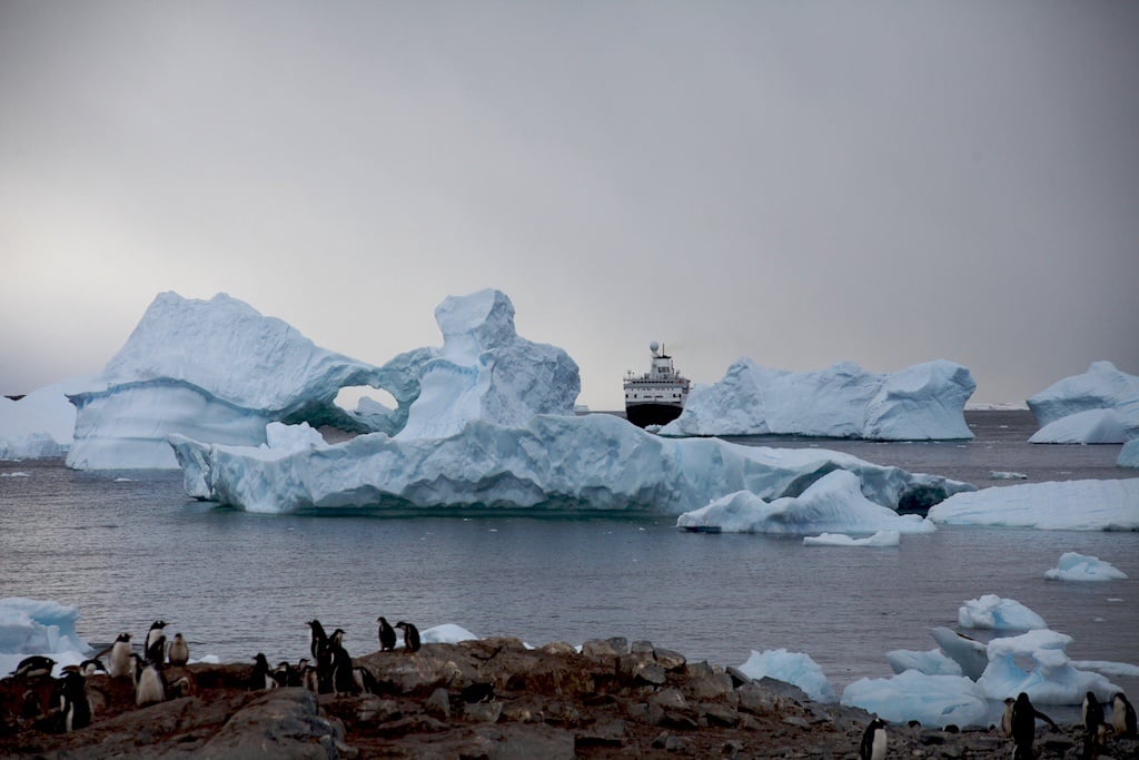 penguin on ice mountain